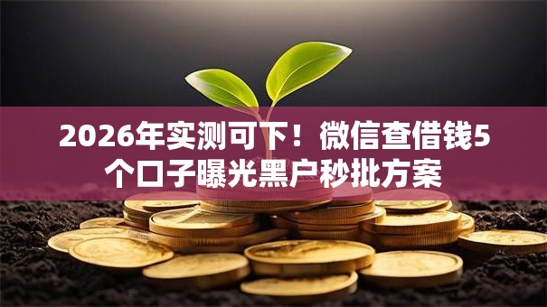2026年实测可下！微信查借钱5个口子曝光黑户秒批方案
