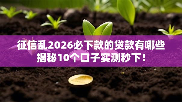 征信乱2026必下款的贷款有哪些揭秘10个口子实测秒下！
