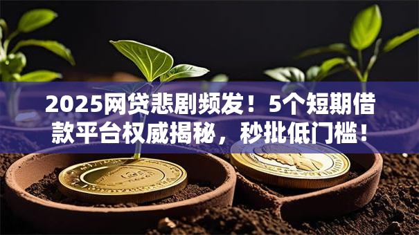 2025网贷悲剧频发！5个短期借款平台权威揭秘，秒批低门槛！