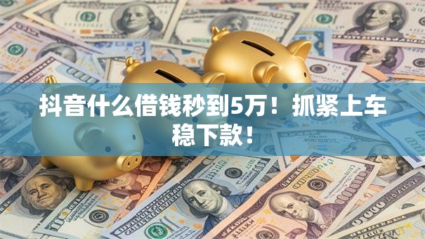 抖音什么借钱秒到5万！抓紧上车稳下款！