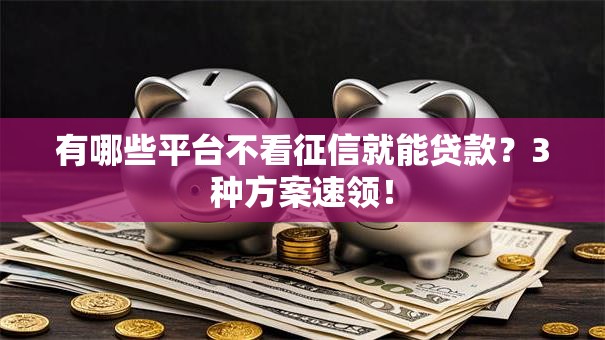 有哪些平台不看征信就能贷款?3种方案速领! 有哪些平台不看征信就能贷款?3种方案速领!