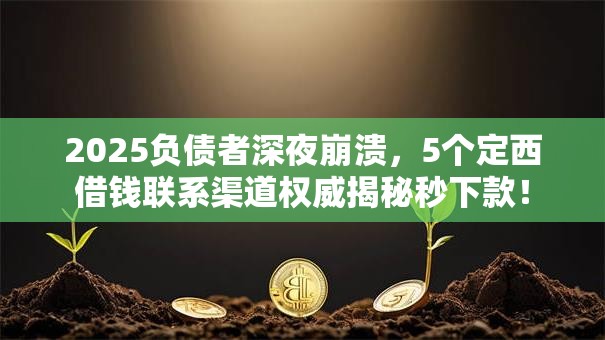 2025负债者深夜崩溃，5个定西借钱联系渠道权威揭秘秒下款！