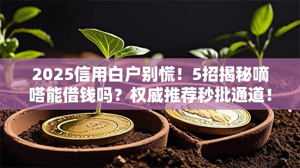 2025信用白户别慌!5招揭秘嘀嗒能借钱吗?权威推荐秒批通道! 2025信用白户别慌!5招揭秘嘀嗒能借钱吗?权威推荐秒批通道!