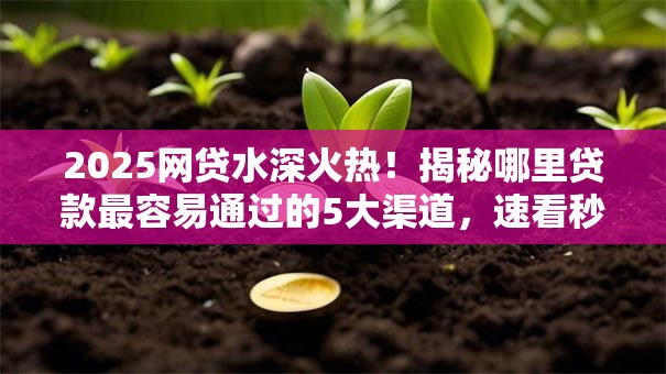 2025网贷水深火热!揭秘哪里贷款最容易通过的5大渠道,速看秒批攻略! 2025网贷水深火热!揭秘哪里贷款最容易通过的5大渠道,速看秒批攻略!