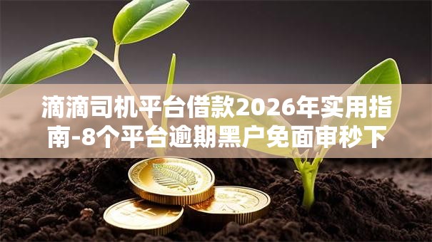 滴滴司机平台借款2026年实用指南-8个平台逾期黑户免面审秒下款! 滴滴司机平台借款2026年实用指南-8个平台逾期黑户免面审秒下款!