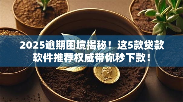 2025逾期困境揭秘！这5款贷款软件推荐权威带你秒下款！