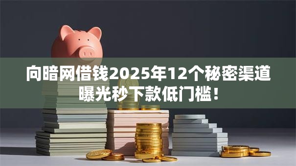 向暗网借钱2025年12个秘密渠道曝光秒下款低门槛！