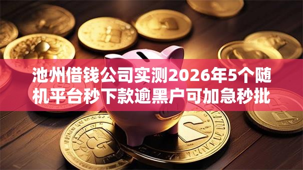 池州借钱公司实测2026年5个随机平台秒下款逾黑户可加急秒批