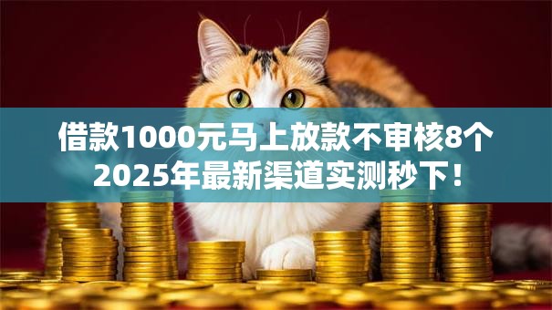 借款1000元马上放款不审核8个2025年最新渠道实测秒下！