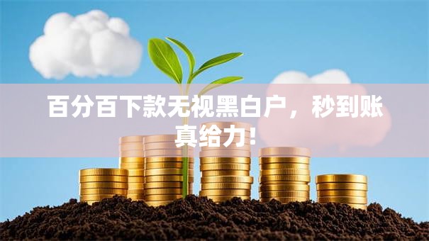 百分百下款无视黑白户，秒到账真给力！