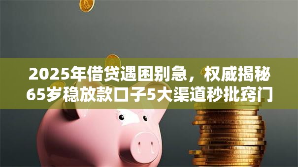 2025年借贷遇困别急,权威揭秘65岁稳放款口子5大渠道秒批窍门! 2025年借贷遇困别急,权威揭秘65岁稳放款口子5大渠道秒批窍门!