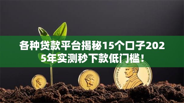 各种贷款平台揭秘15个口子2025年实测秒下款低门槛！