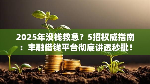 2025年没钱救急?5招权威指南:丰融借钱平台彻底讲透秒批! 2025年没钱救急?5招权威指南:丰融借钱平台彻底讲透秒批!