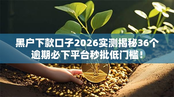 黑户下款口子2026实测揭秘36个逾期必下平台秒批低门槛！