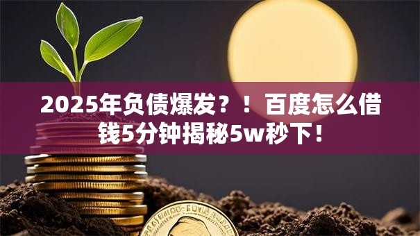 2025年负债爆发？！百度怎么借钱5分钟揭秘5w秒下！