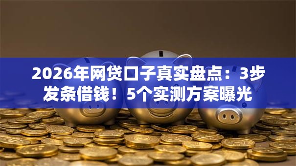 2026年网贷口子真实盘点:3步发条借钱!5个实测方案曝光 2026年网贷口子真实盘点:3步发条借钱!5个实测方案曝光