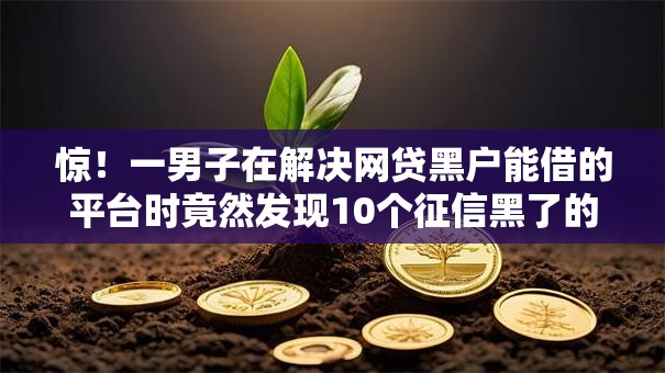 惊!一男子在解决网贷黑户能借的平台时竟然发现10个征信黑了的人贷款的平台,事后分享了出来 惊!一男子在解决网贷黑户能借的平台时竟然发现10个征信黑了的人贷款的平台,事后分享了出来