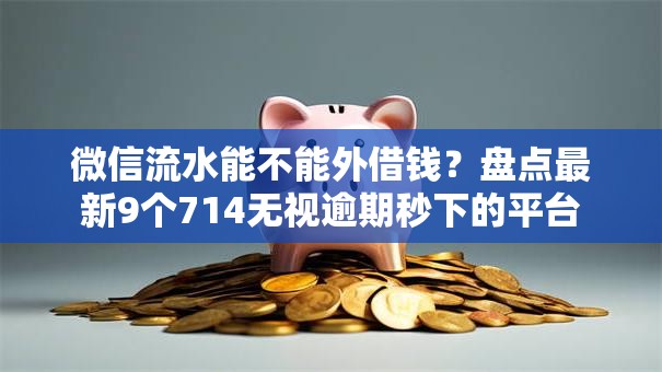 微信流水能不能外借钱?盘点最新9个714无视逾期秒下的平台 微信流水能不能外借钱?盘点最新9个714无视逾期秒下的平台