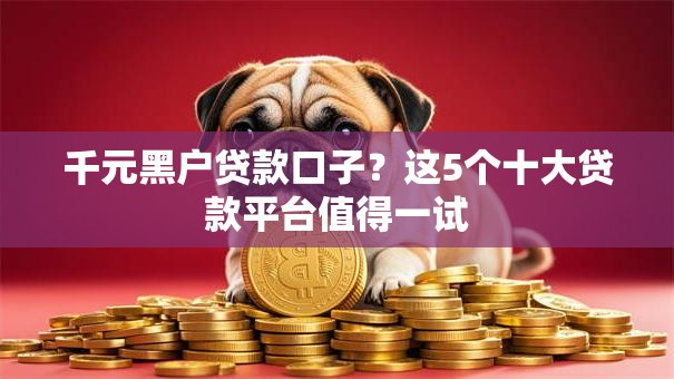 千元黑户贷款口子？这5个十大贷款平台值得一试