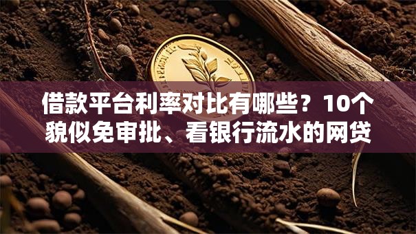 借款平台利率对比有哪些？10个貌似免审批、看银行流水的网贷平台合集