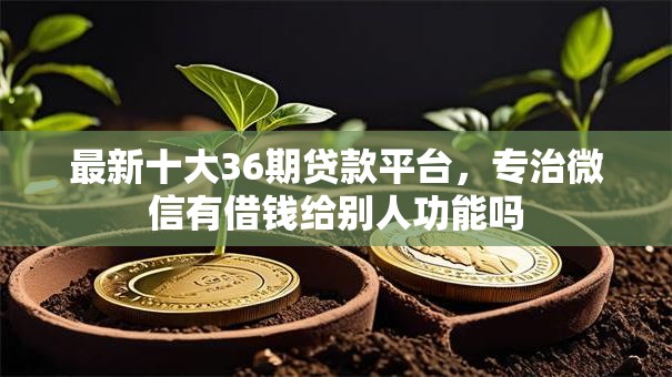 最新十大36期贷款平台，专治微信有借钱给别人功能吗