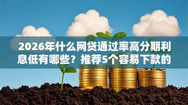 2026年什么网贷通过率高分期利息低有哪些？推荐5个容易下款的平台