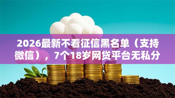 2026最新不看征信黑名单（支持微信），7个18岁网贷平台无私分享