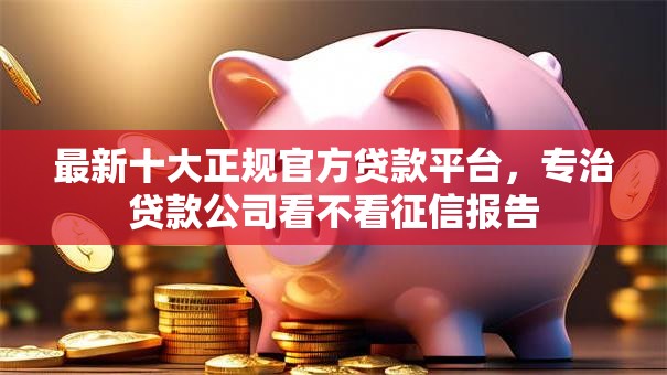 最新十大正规官方贷款平台，专治贷款公司看不看征信报告