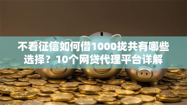 不看征信如何借1000拢共有哪些选择？10个网贷代理平台详解