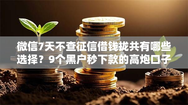 微信7天不查征信借钱拢共有哪些选择？9个黑户秒下款的高炮口子详解