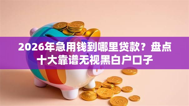 2026年急用钱到哪里贷款？盘点十大靠谱无视黑白户口子