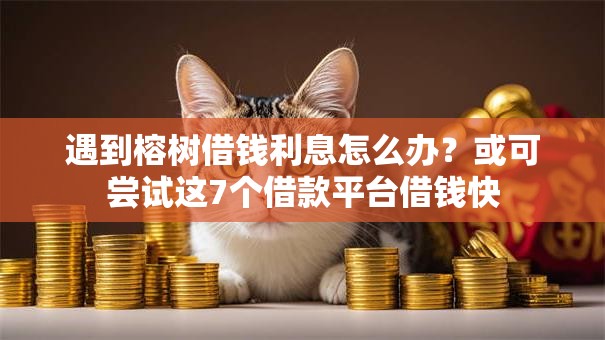 遇到榕树借钱利息怎么办？或可尝试这7个借款平台借钱快