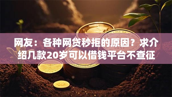 网友：各种网贷秒拒的原因？求介绍几款20岁可以借钱平台不查征信的app