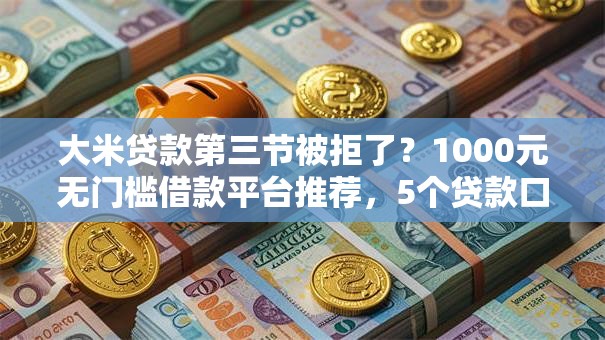大米贷款第三节被拒了？1000元无门槛借款平台推荐，5个贷款口子平台盘点