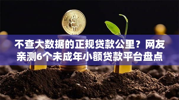 不查大数据的正规贷款公里？网友亲测6个未成年小额贷款平台盘点