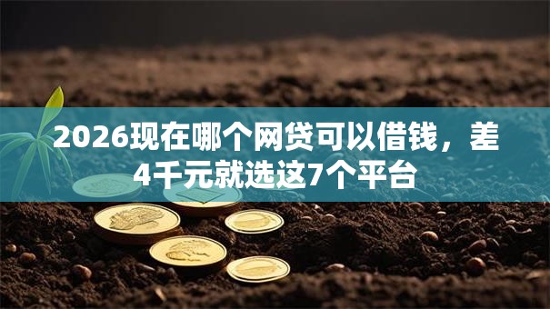 2026现在哪个网贷可以借钱，差4千元就选这7个平台