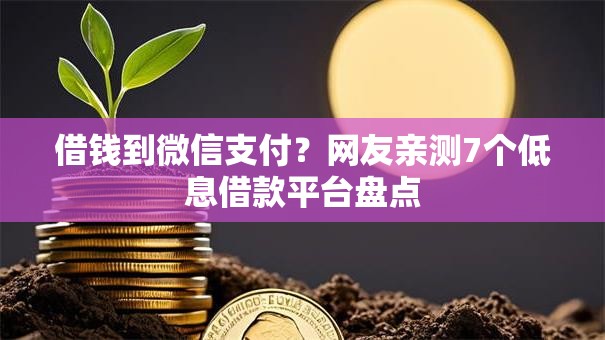 借钱到微信支付？网友亲测7个低息借款平台盘点