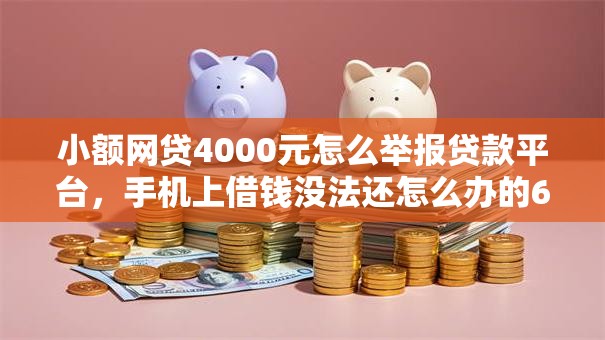小额网贷4000元怎么举报贷款平台，手机上借钱没法还怎么办的6个平台介绍