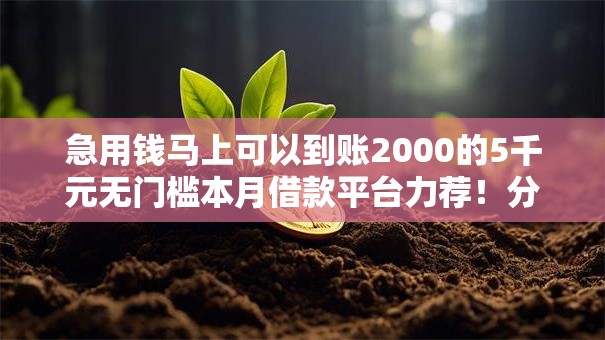 急用钱马上可以到账2000的5千元无门槛本月借款平台力荐！分享小额网贷口子5千元无门槛借款