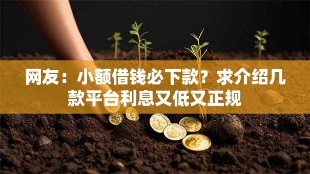 网友:小额借钱必下款?求介绍几款平台利息又低又正规 网友:小额借钱必下款?求介绍几款平台利息又低又正规