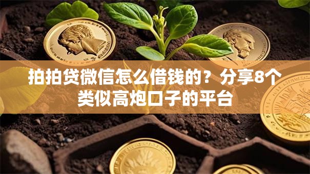 拍拍贷微信怎么借钱的?分享8个类似高炮口子的平台 拍拍贷微信怎么借钱的?分享8个类似高炮口子的平台