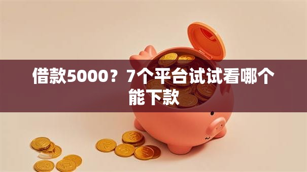 借款5000？7个平台试试看哪个能下款