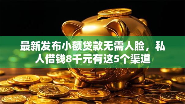 最新发布小额贷款无需人脸，私人借钱8千元有这5个渠道
