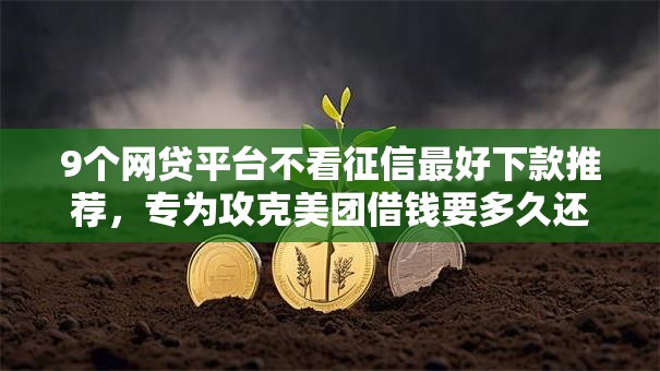 9个网贷平台不看征信最好下款推荐，专为攻克美团借钱要多久还款成功难题