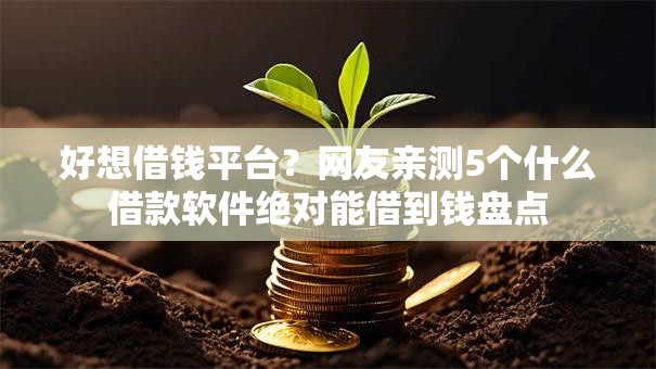 好想借钱平台？网友亲测5个什么借款软件绝对能借到钱盘点