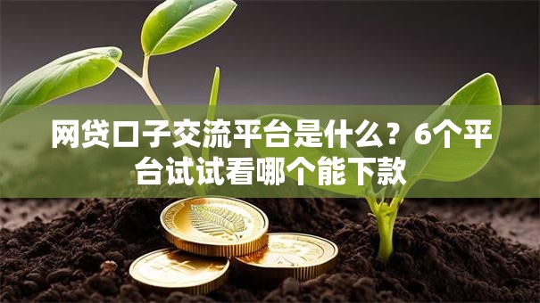 网贷口子交流平台是什么？6个平台试试看哪个能下款