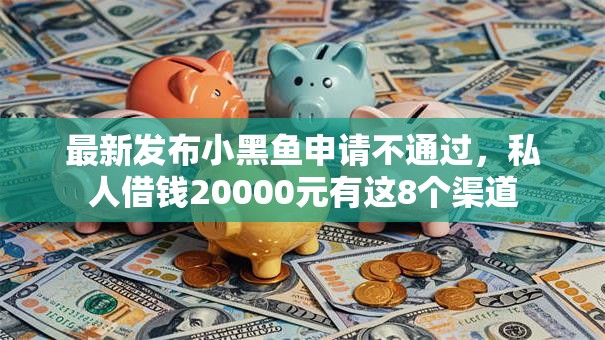 最新发布小黑鱼申请不通过，私人借钱20000元有这8个渠道