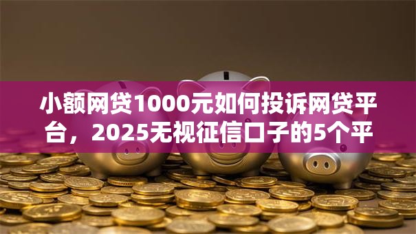小额网贷1000元如何投诉网贷平台，2025无视征信口子的5个平台介绍