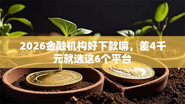 2026金融机构好下款嘛,差4千元就选这6个平台 2026金融机构好下款嘛,差4千元就选这6个平台