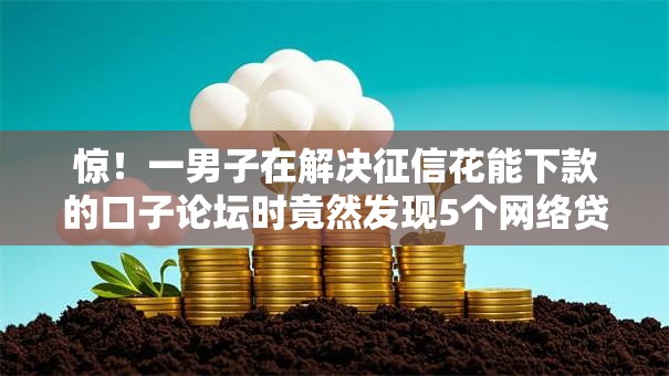 惊！一男子在解决征信花能下款的口子论坛时竟然发现5个网络贷款平台排名不分先后，事后分享了出来